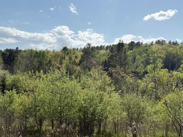 0 Brookside Road, Orland, ME 04472