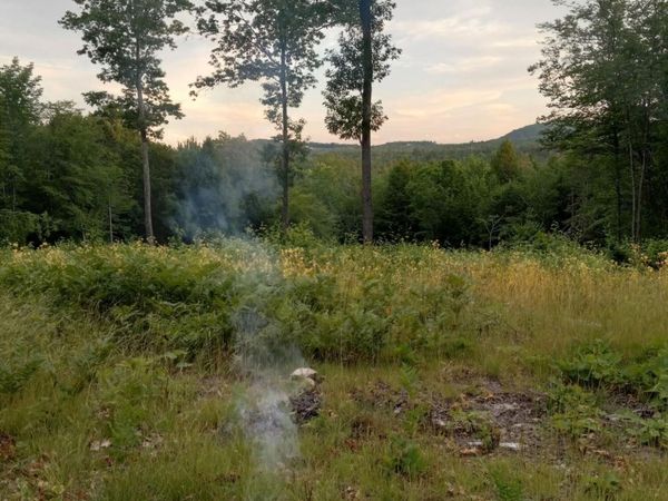 Lot 9 McDaniels Road , Waterford, ME 04088