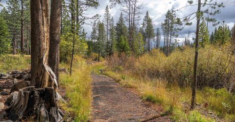 12796 Northwoods Boulevard, Truckee, CA 96161 Photo