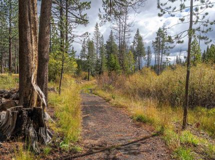 12796 Northwoods Boulevard, Truckee, CA 96161 Photo