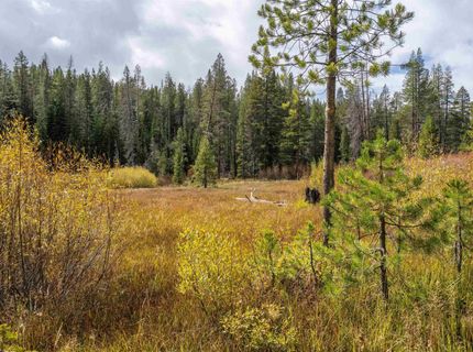 12796 Northwoods Boulevard, Truckee, CA 96161 Photo