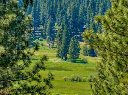 232 Boulder Drive, Clio, CA 96106 Photo