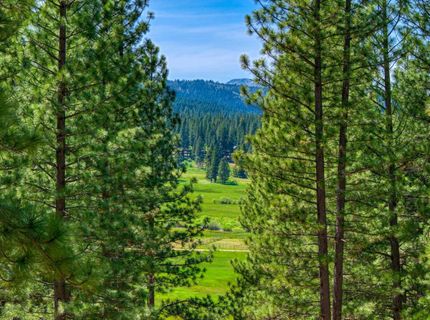 232 Boulder Drive, Clio, CA 96106 Photo