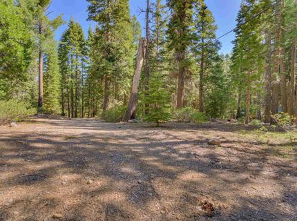 5355 Sacramento Avenue, Homewood, CA 96141 Photo