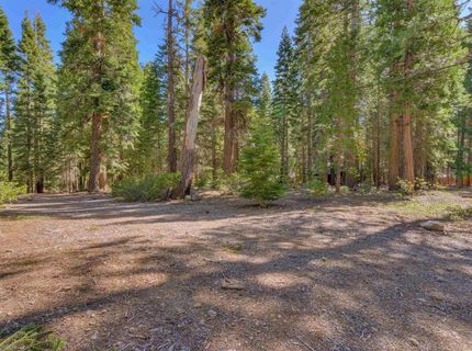5355 Sacramento Avenue, Homewood, CA 96141 Photo