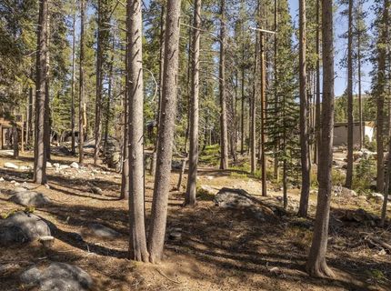 21965 Lotta Crabtree, Soda Springs, CA 95728 Photo