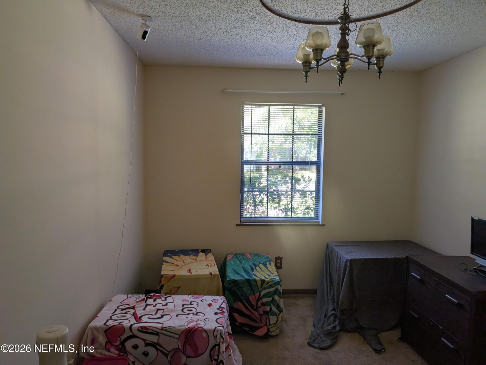 6348 Johnnie Circle E, Jacksonville, FL 32244 Photo