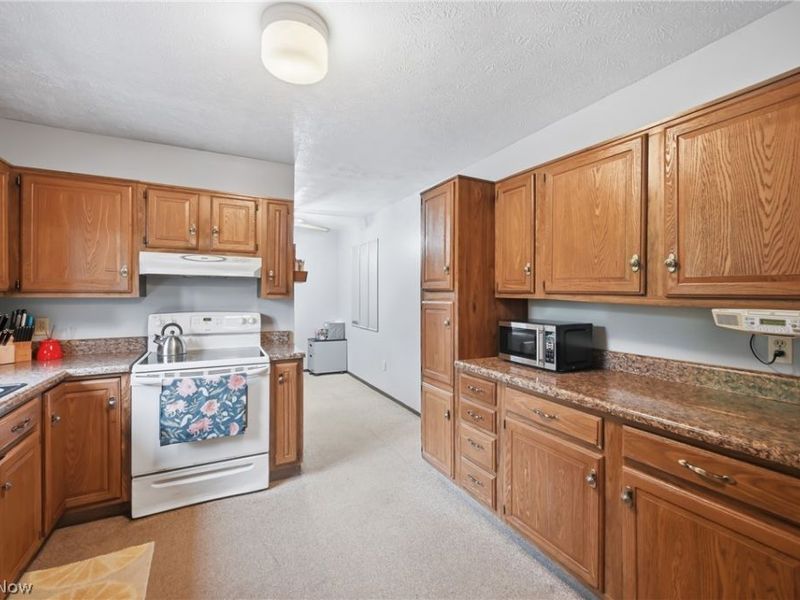 2821 Wilson Sharpsville Road, Cortland, OH 44410 Photo 26