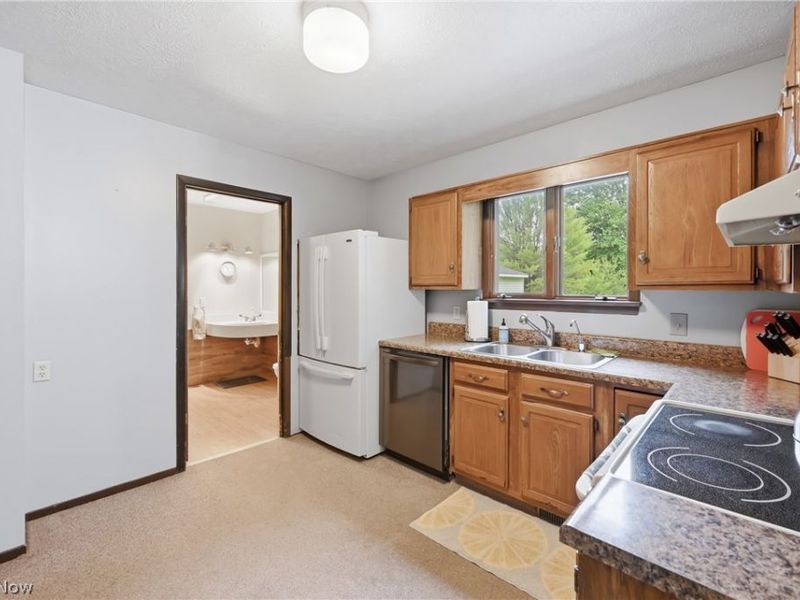 2821 Wilson Sharpsville Road, Cortland, OH 44410 Photo 28