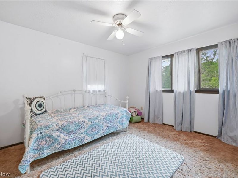 2821 Wilson Sharpsville Road, Cortland, OH 44410 Photo 36