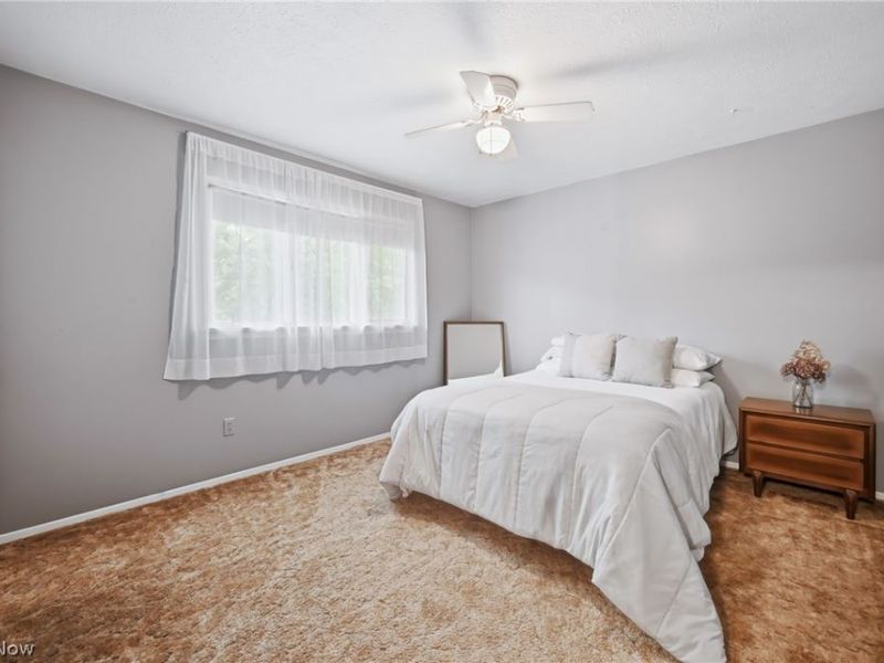 2821 Wilson Sharpsville Road, Cortland, OH 44410 Photo 38