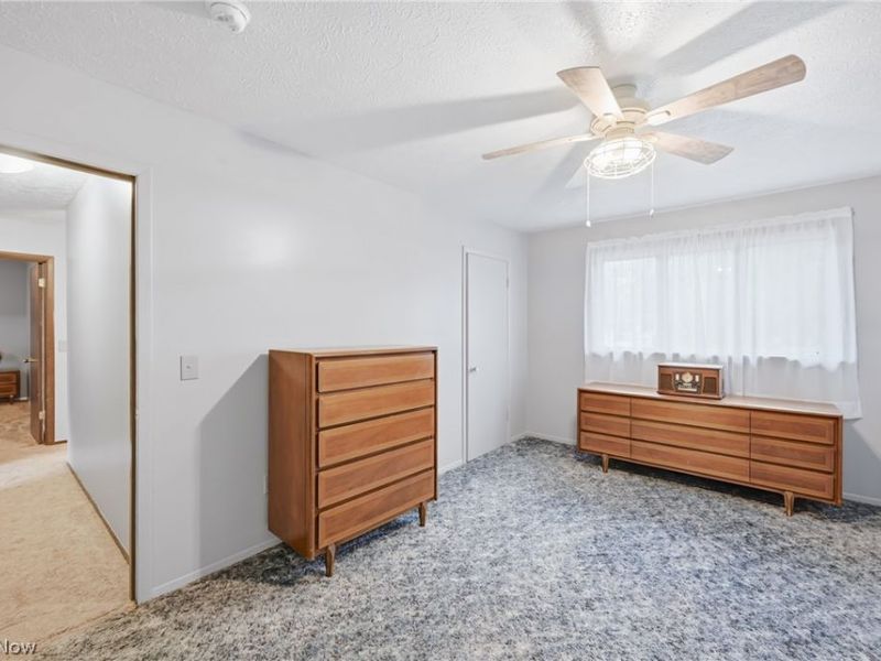 2821 Wilson Sharpsville Road, Cortland, OH 44410 Photo 42