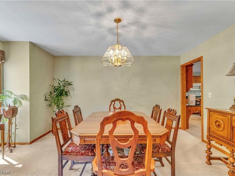 1011 Cedarwood Lane, Medina, OH 44256 Photo 17