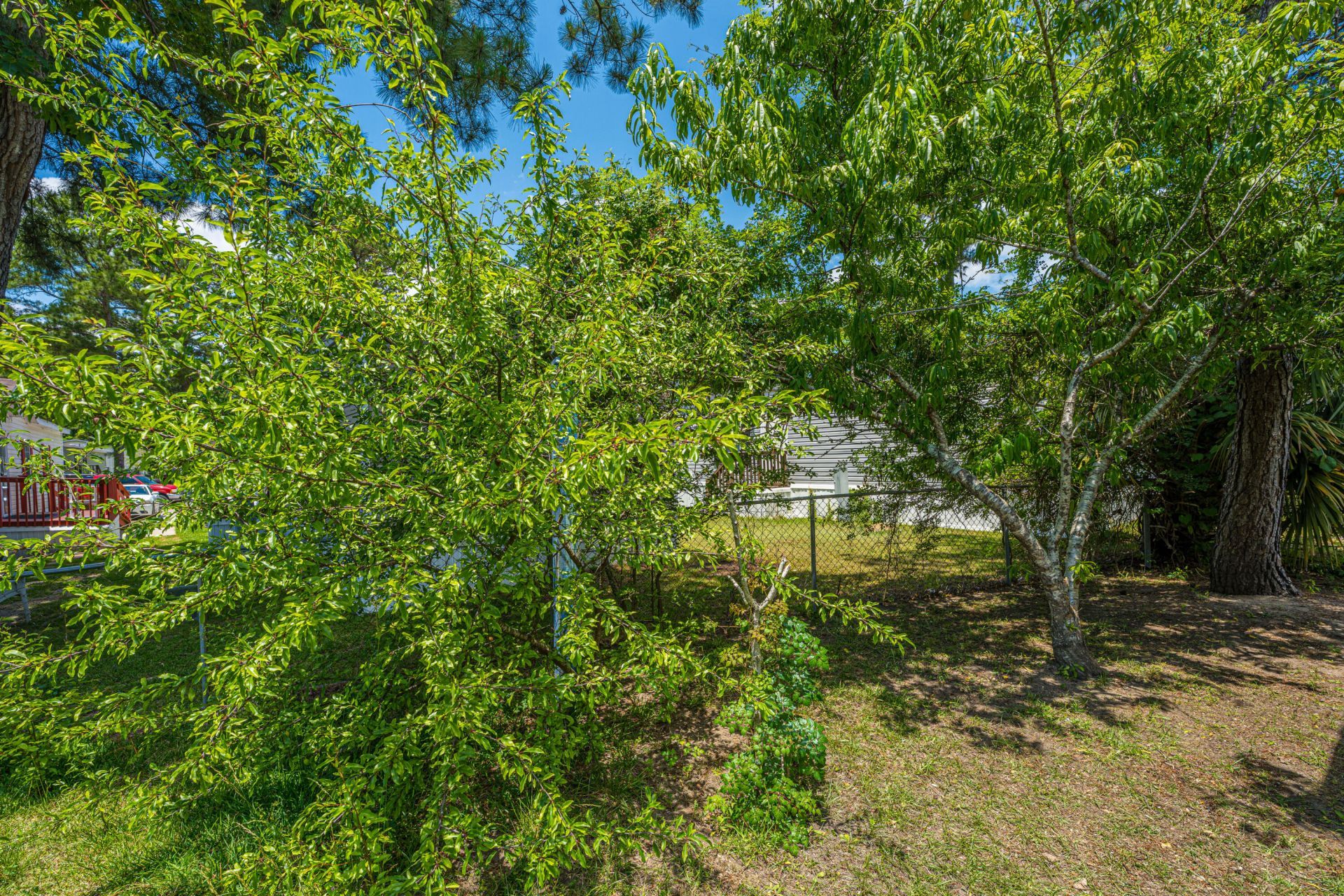 232 Shannonwood Drive Photo 56