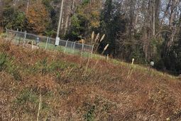 4079 Jefferson Davis Highway  photo 4