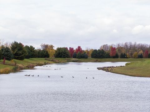 Main Photo