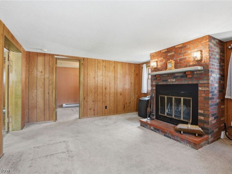 7287 Tessmer Road, Williamsfield, OH 44093 Photo 11