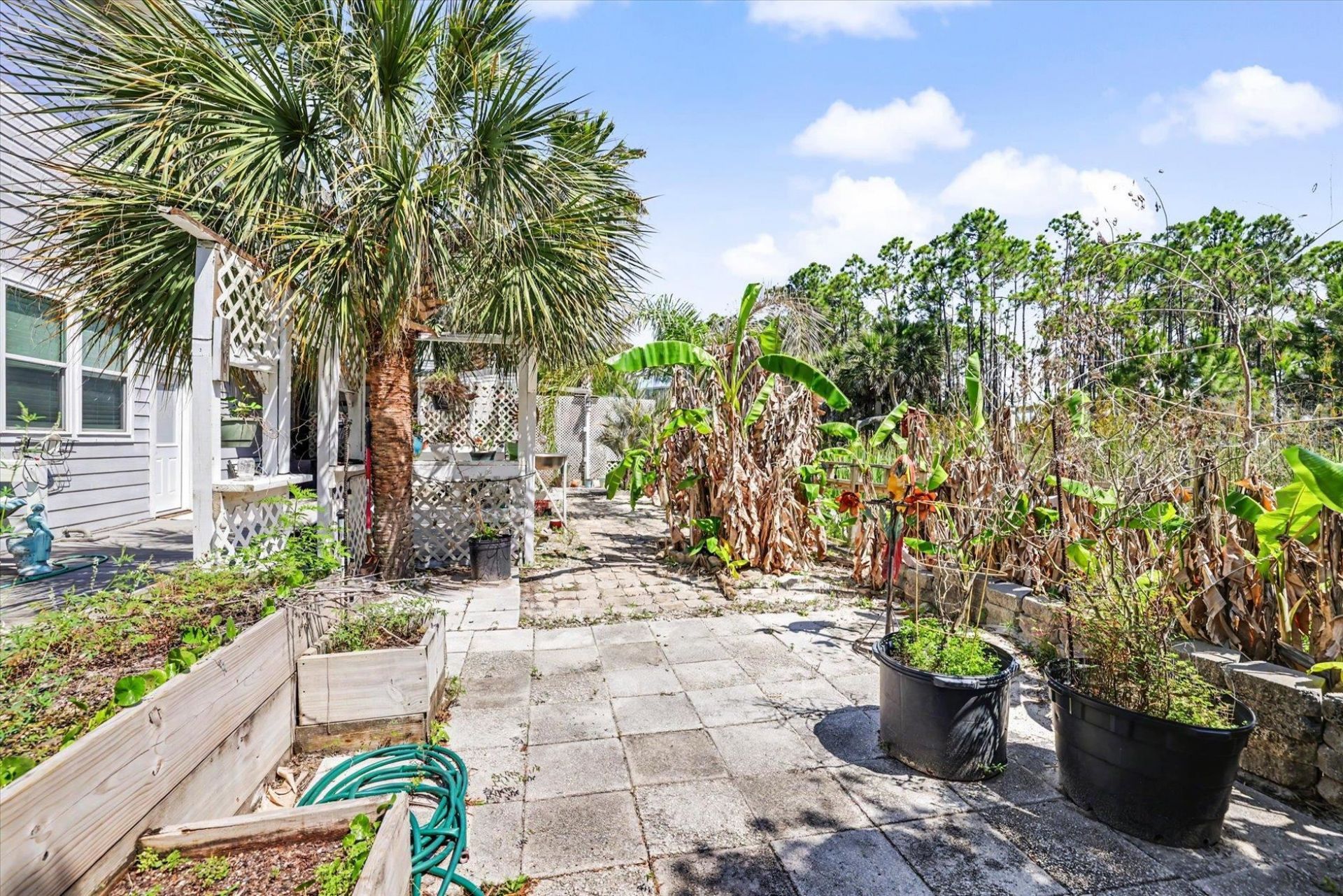 323 Bradford Street , Saint George Island, FL 32328 Photo