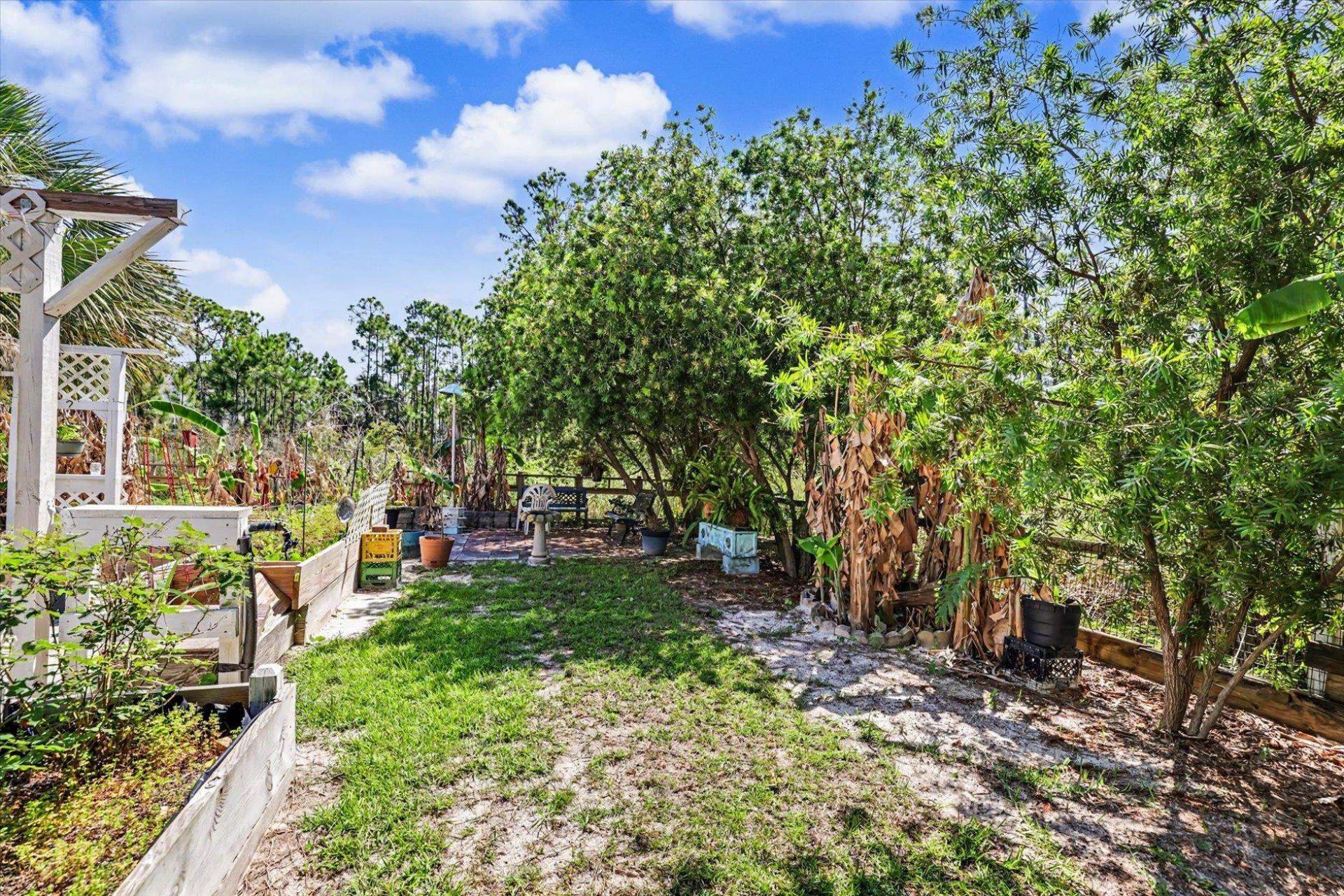 323 Bradford Street , Saint George Island, FL 32328 Photo