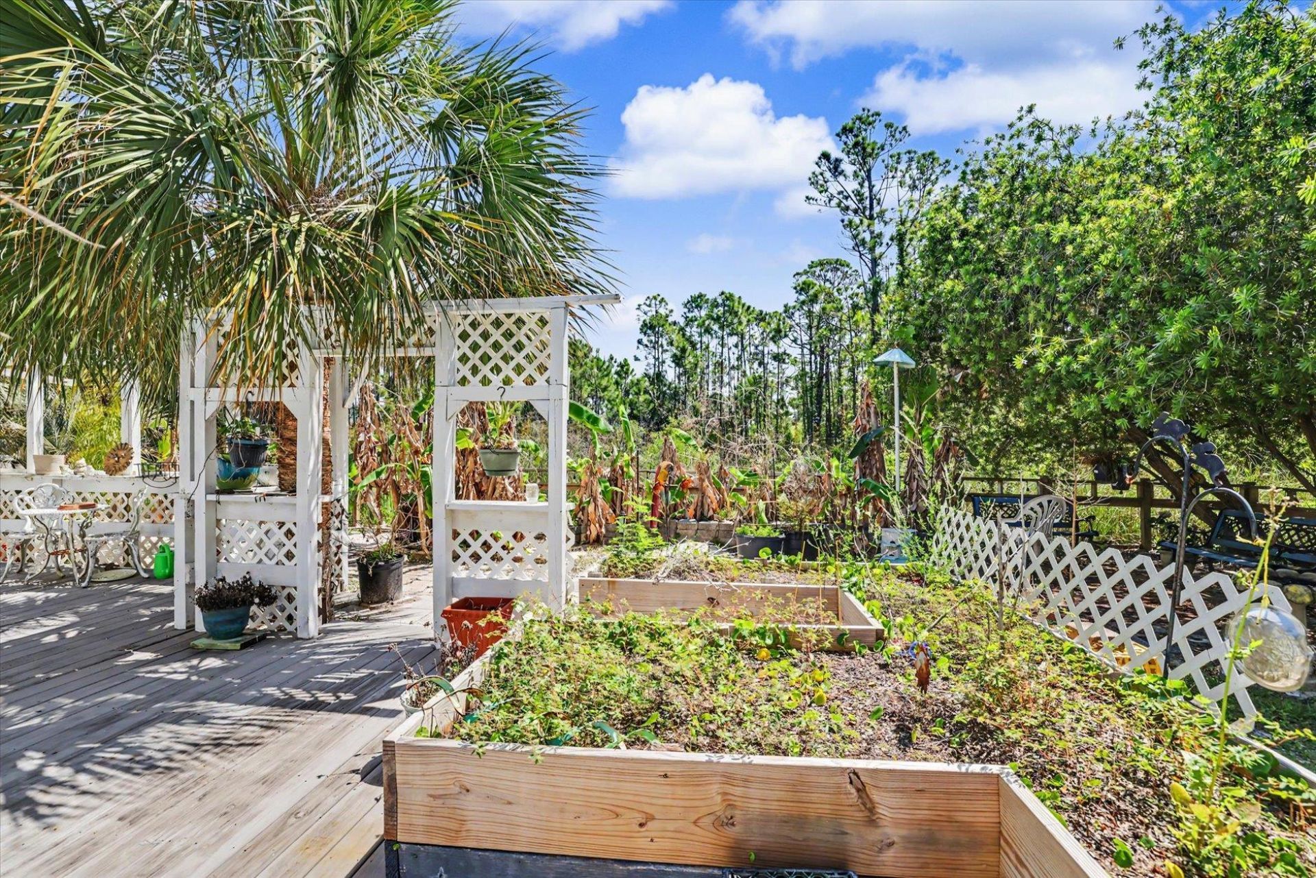 323 Bradford Street , Saint George Island, FL 32328 Photo