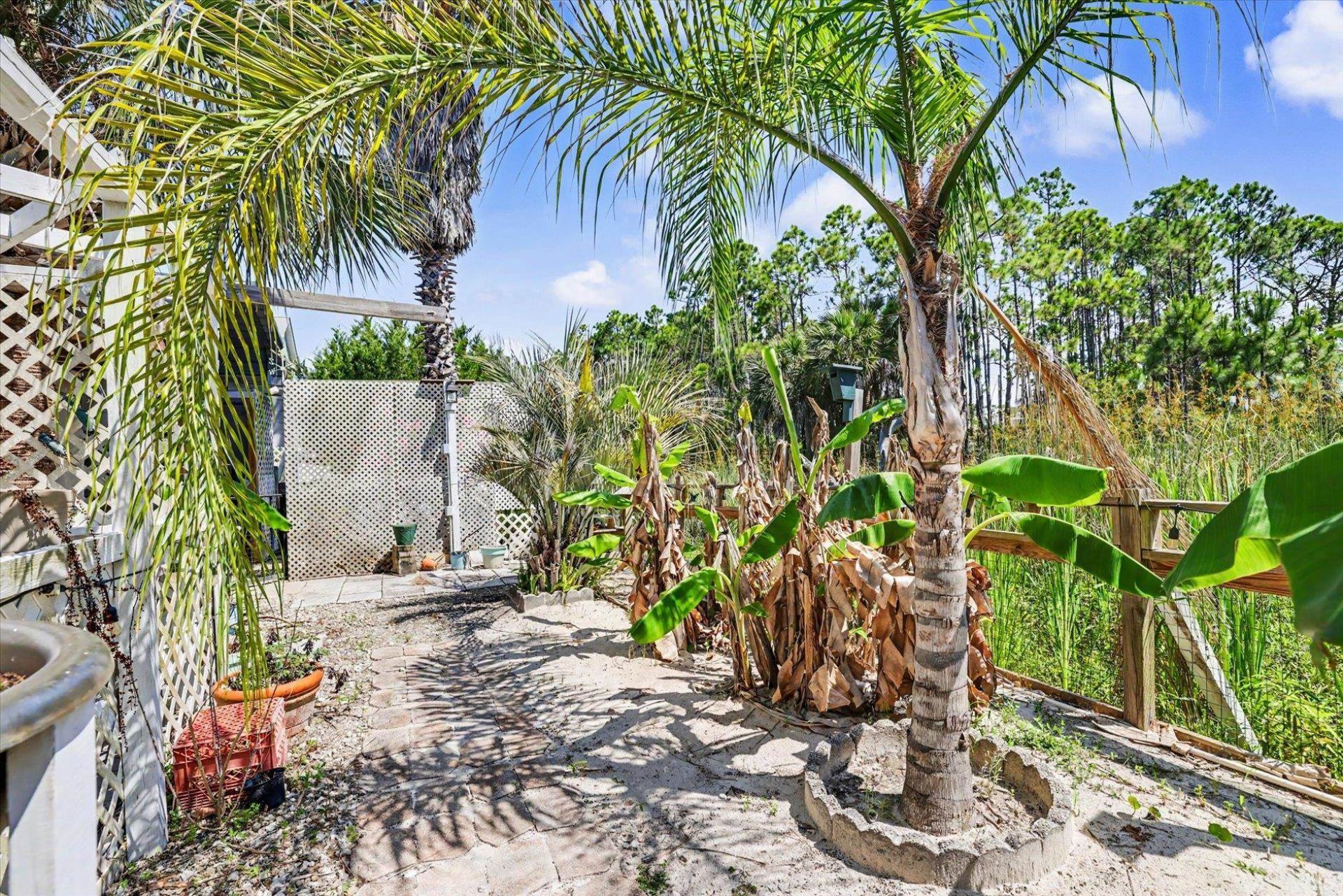 323 Bradford Street , Saint George Island, FL 32328 Photo