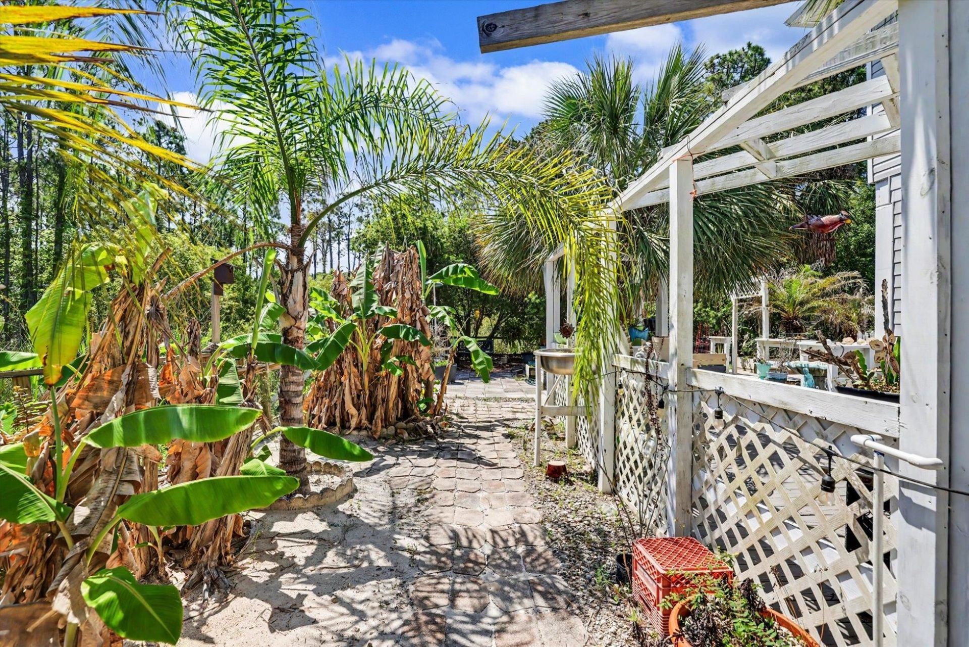 323 Bradford Street , Saint George Island, FL 32328 Photo