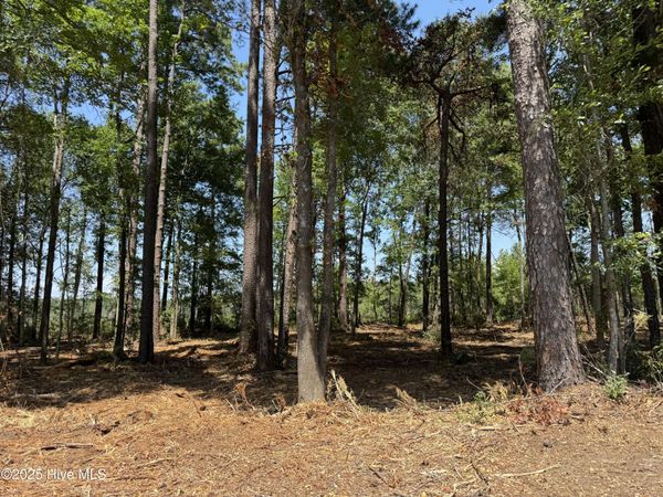 Lot 5 Near 4102 Swamp Fox (Lot 5) Highway W, Tabor City, NC 28463
