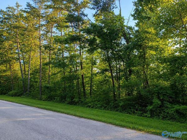 Tract 12C -13 County Road 711, Unit 12C-13, Cedar Bluff, AL 35959
