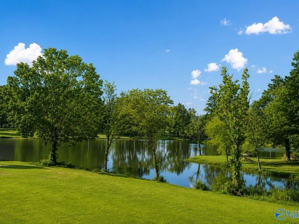 Lots 6-7 County Road 115, Unit 6-7, Cedar Bluff, AL 35959