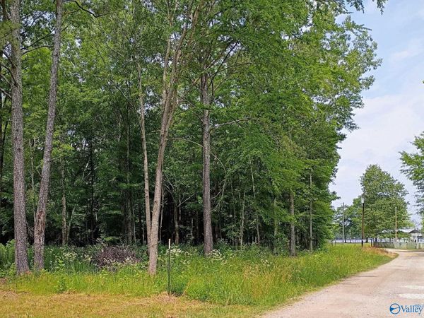 Lots 6-8 County Road 450, Centre, AL 35960