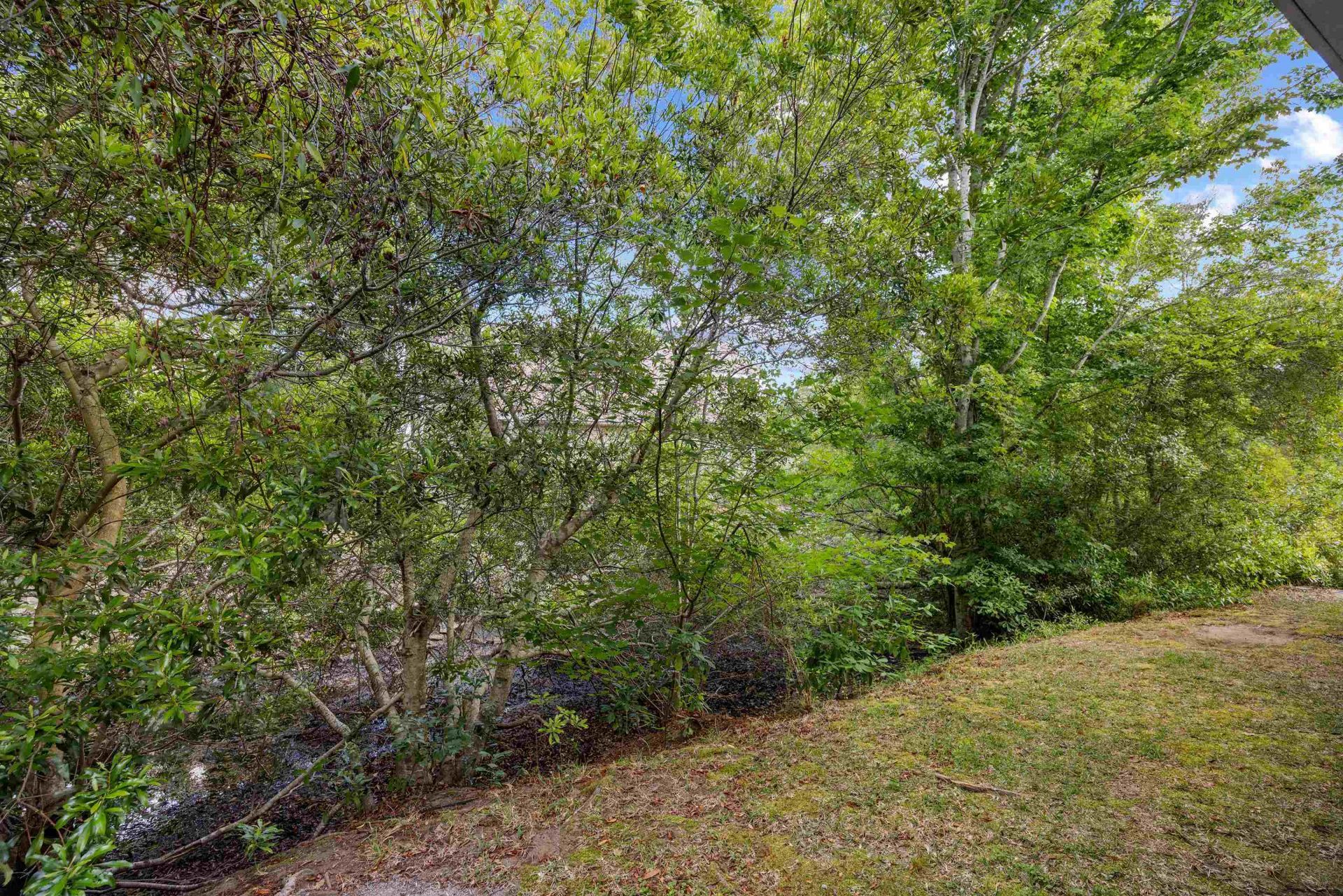 1534 Gulfstream Ct.  Photo 35