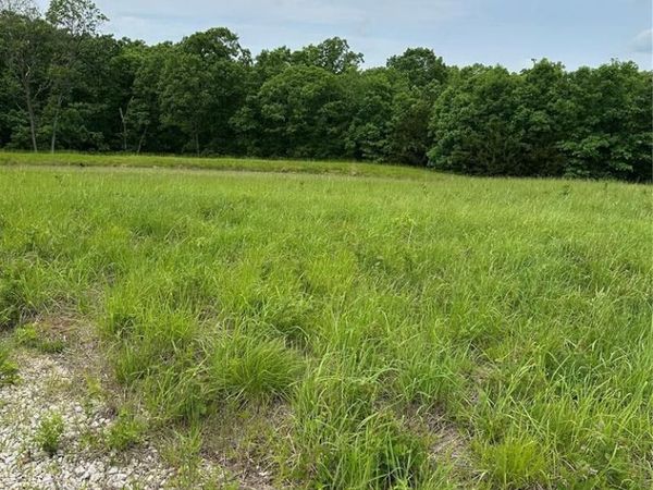0 CR 166, Bethel, MO 63434