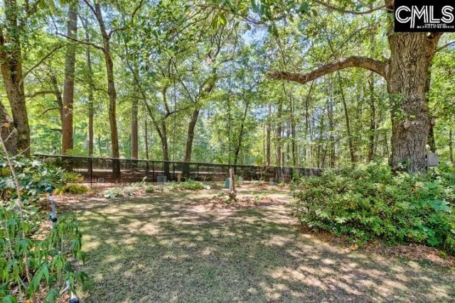 105 Wolfe Lake Lane  Photo 19