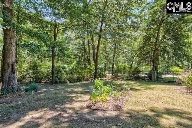 105 Wolfe Lake Lane  Photo 23