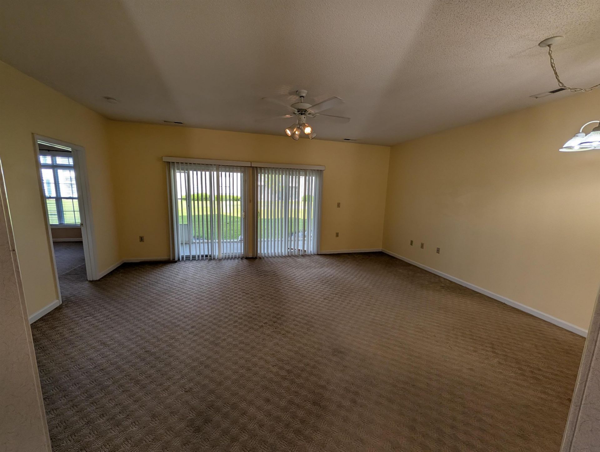 100 Scotch Broom Dr.  Photo 4