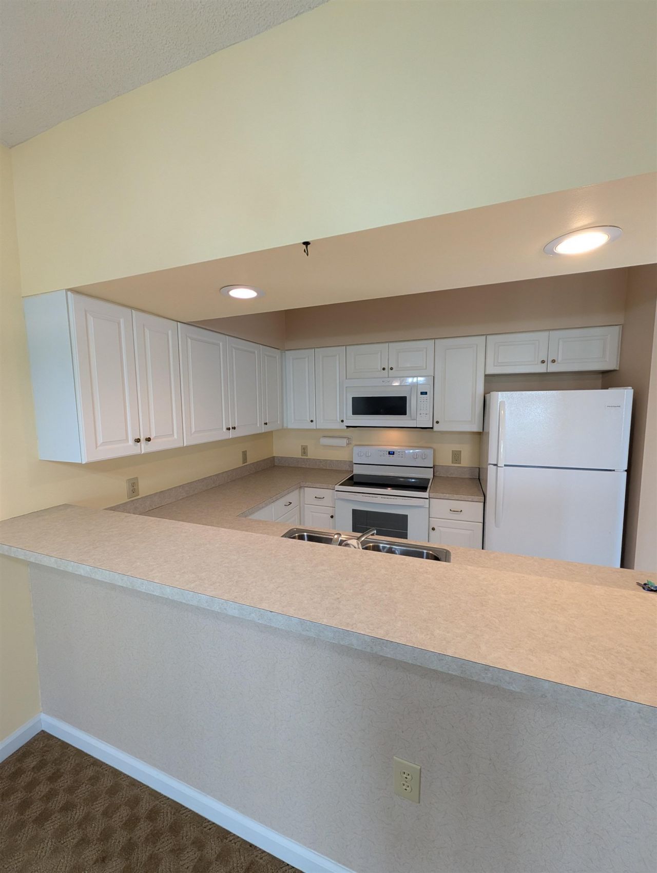 100 Scotch Broom Dr.  Photo 6