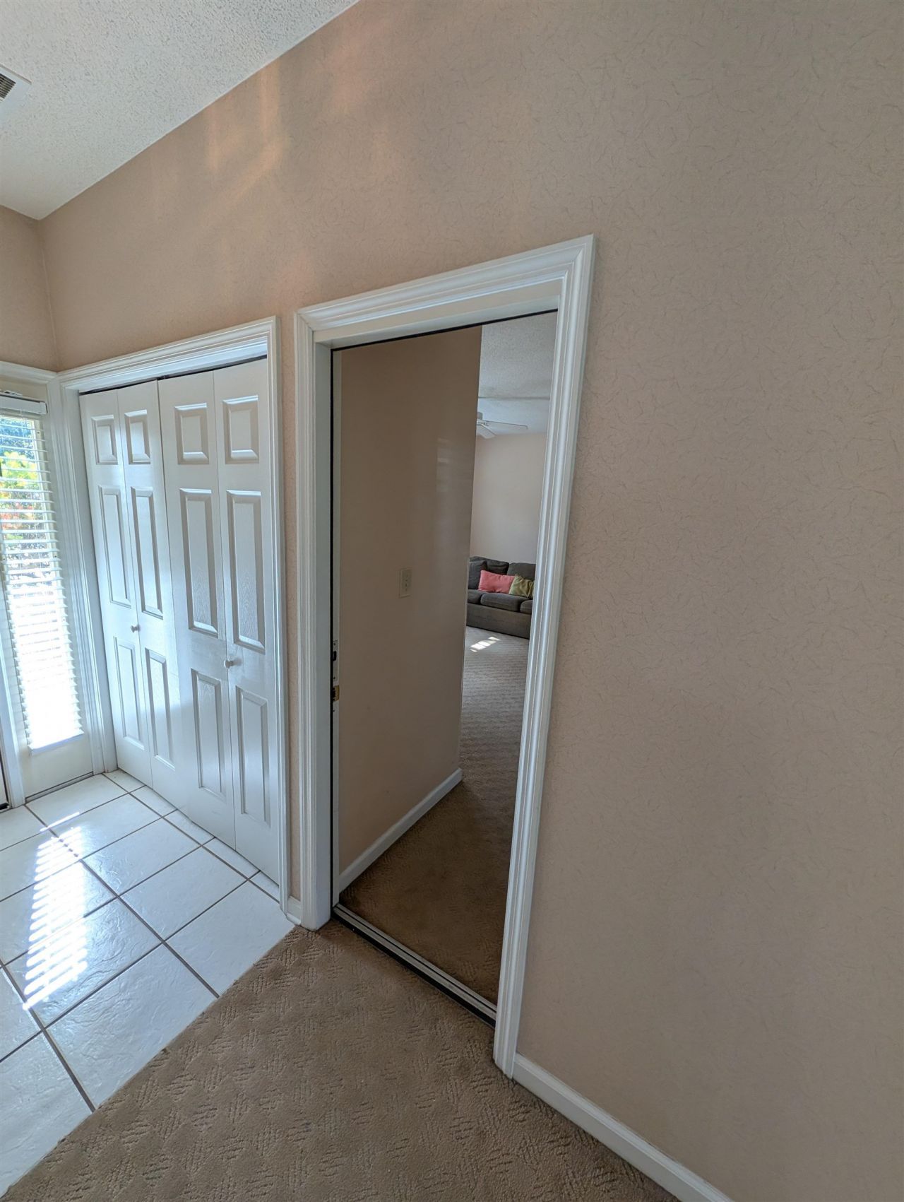 100 Scotch Broom Dr.  Photo 7