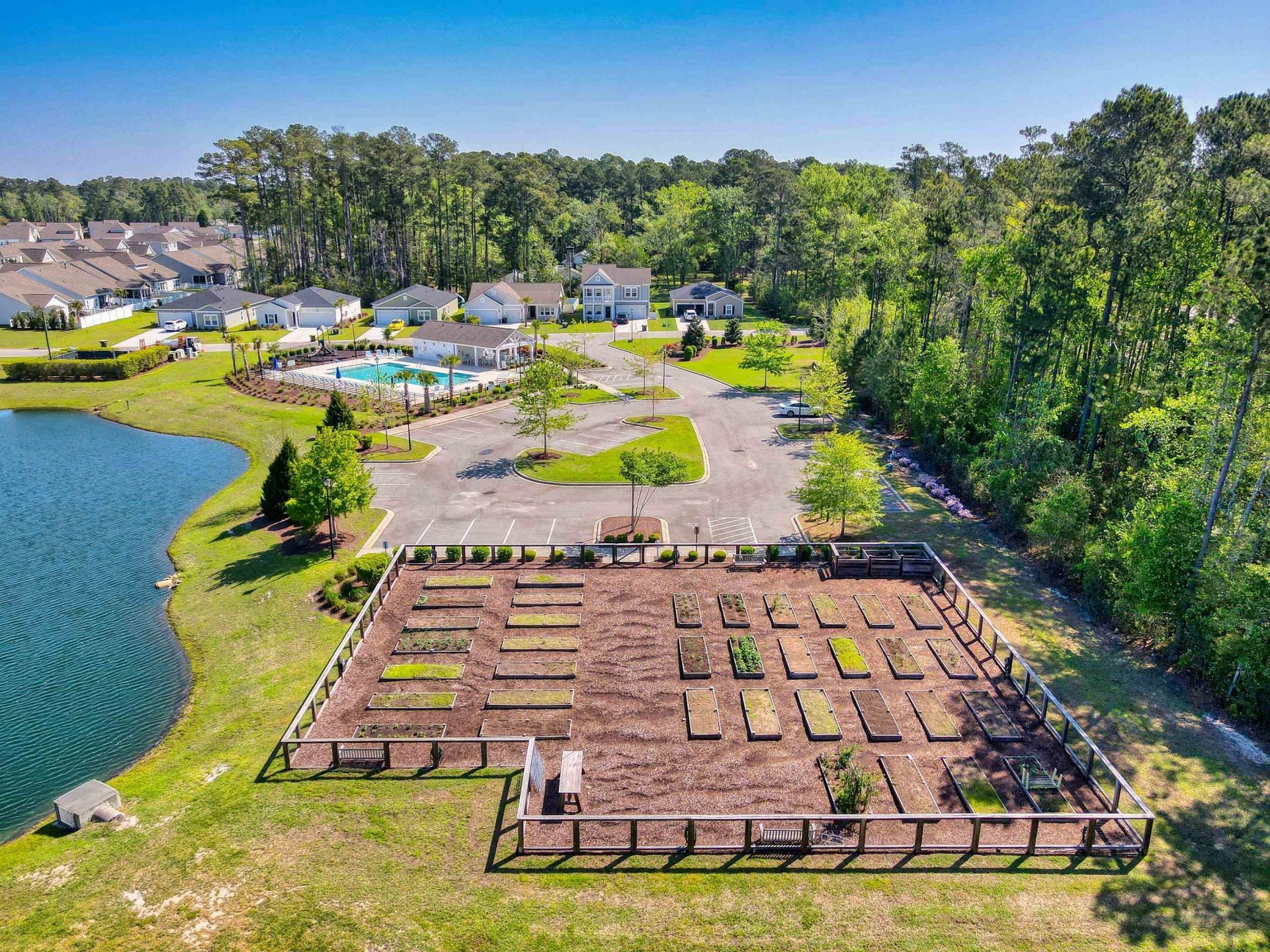 3348 Piney Woods Way  Photo 49
