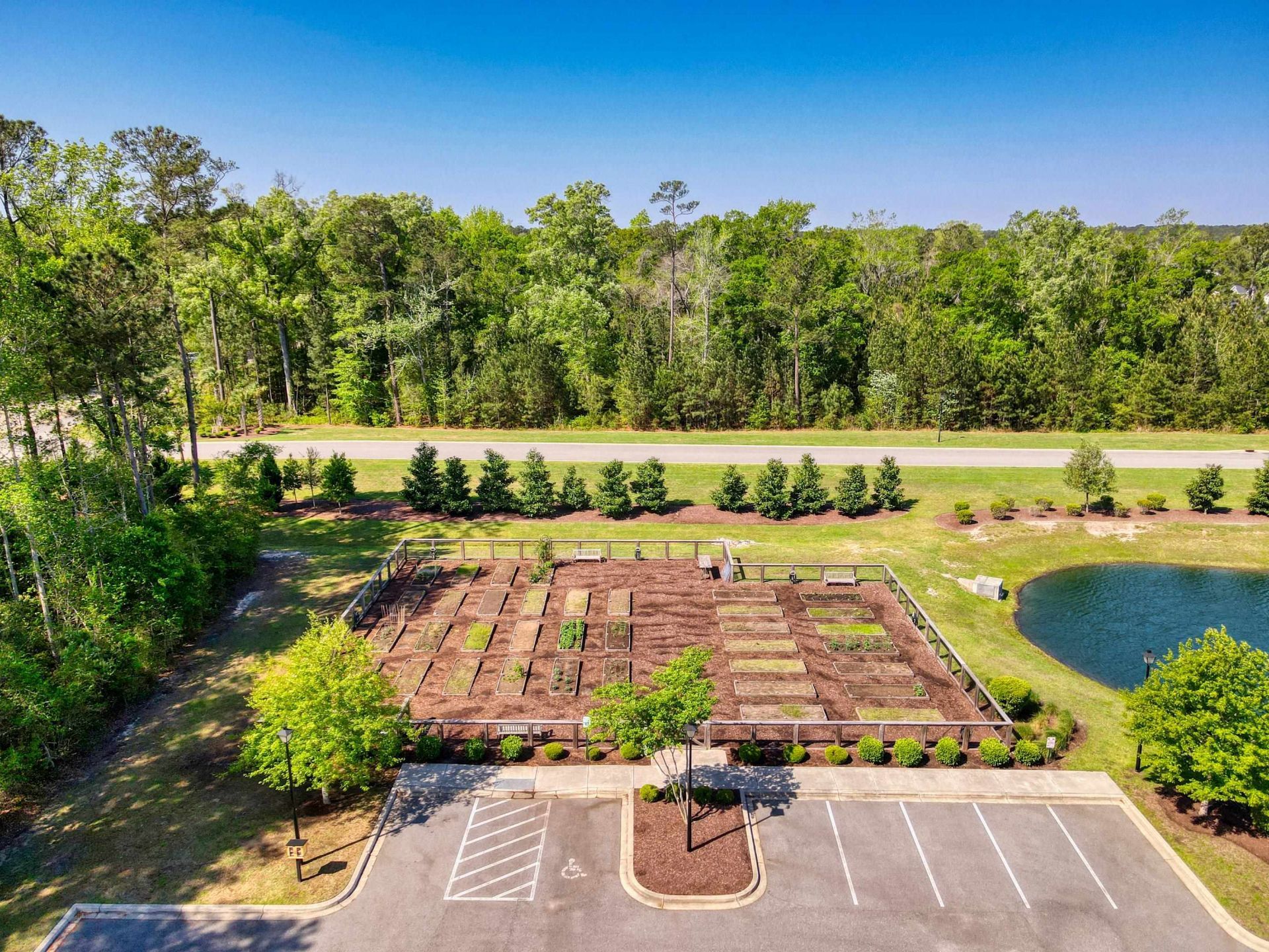 3348 Piney Woods Way  Photo 50