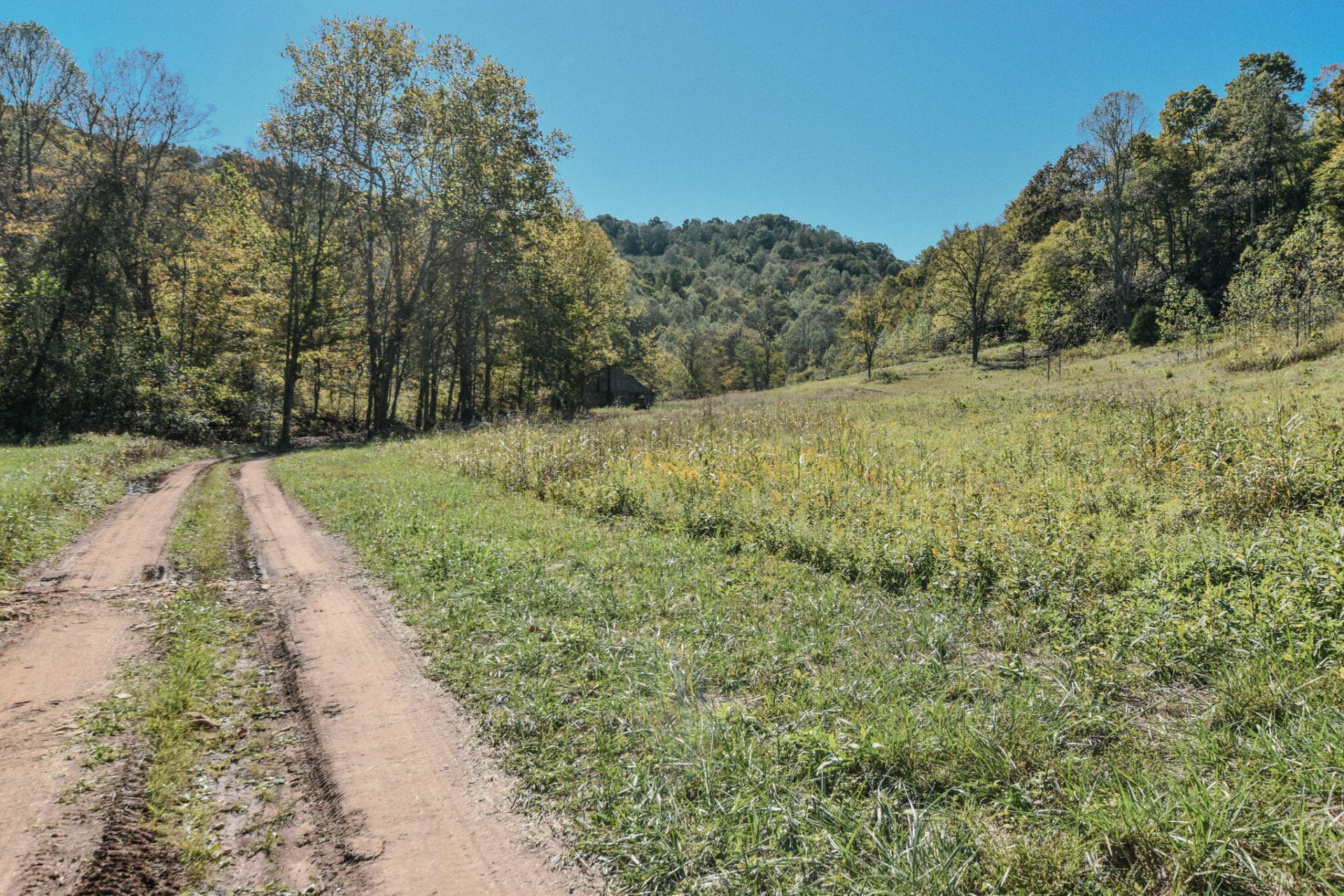 601 Hackworth Hollow Road, Vanceburg, KY 41179