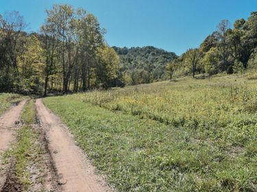 601 Hackworth Hollow Road, Vanceburg, KY 41179
