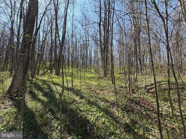 Adj. 216 ROCK CUT ROAD , CENTRAL CITY, PA 15926