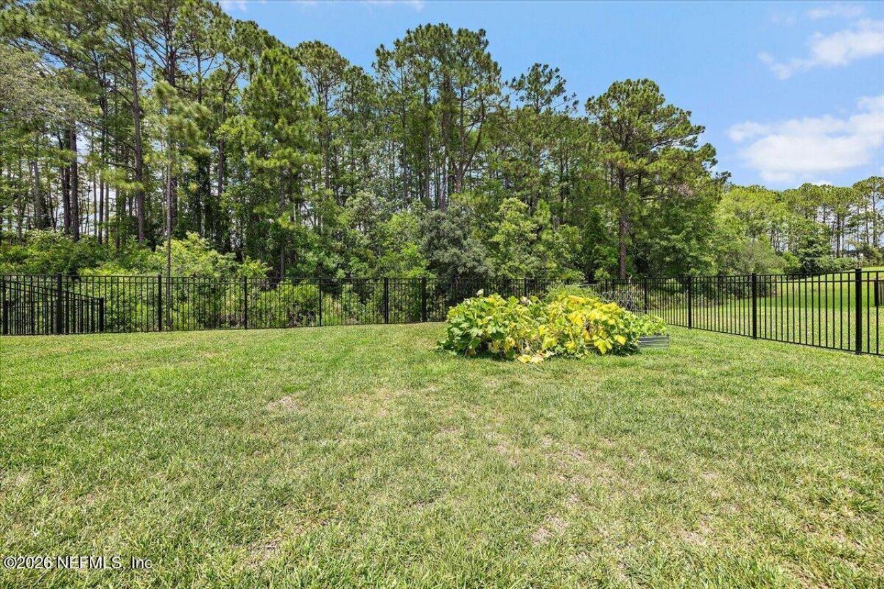 3174 Tupelo Loop, Green Cove Springs, FL 32043 Photo