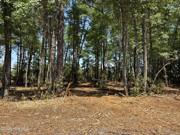 Lot 4 Near 4102 Swamp Fox (Lot 4) Highway W, Tabor City, NC 28463