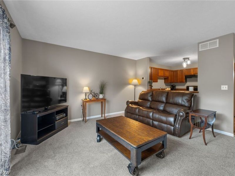 342 Angela Lane, Avon Lake, OH 44012 Photo 10