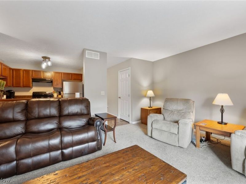 342 Angela Lane, Avon Lake, OH 44012 Photo 11