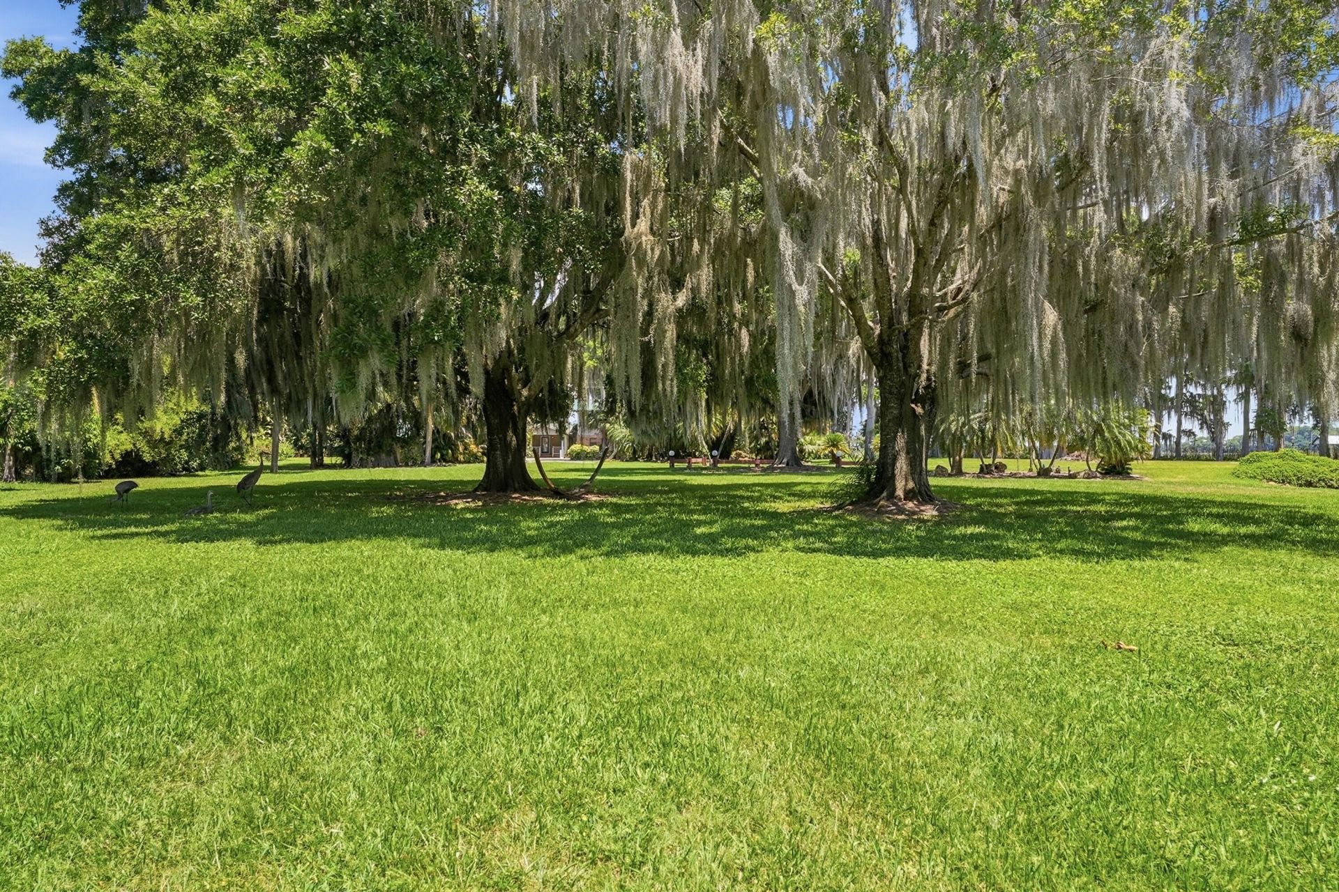 200 Windy Point Road, Lake Placid, FL 33852 Photo
