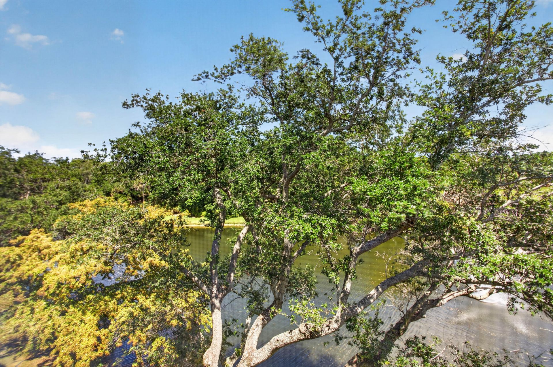 1862 Hammock Boulevard, Unit 416, Coconut Creek, FL 33063 Photo