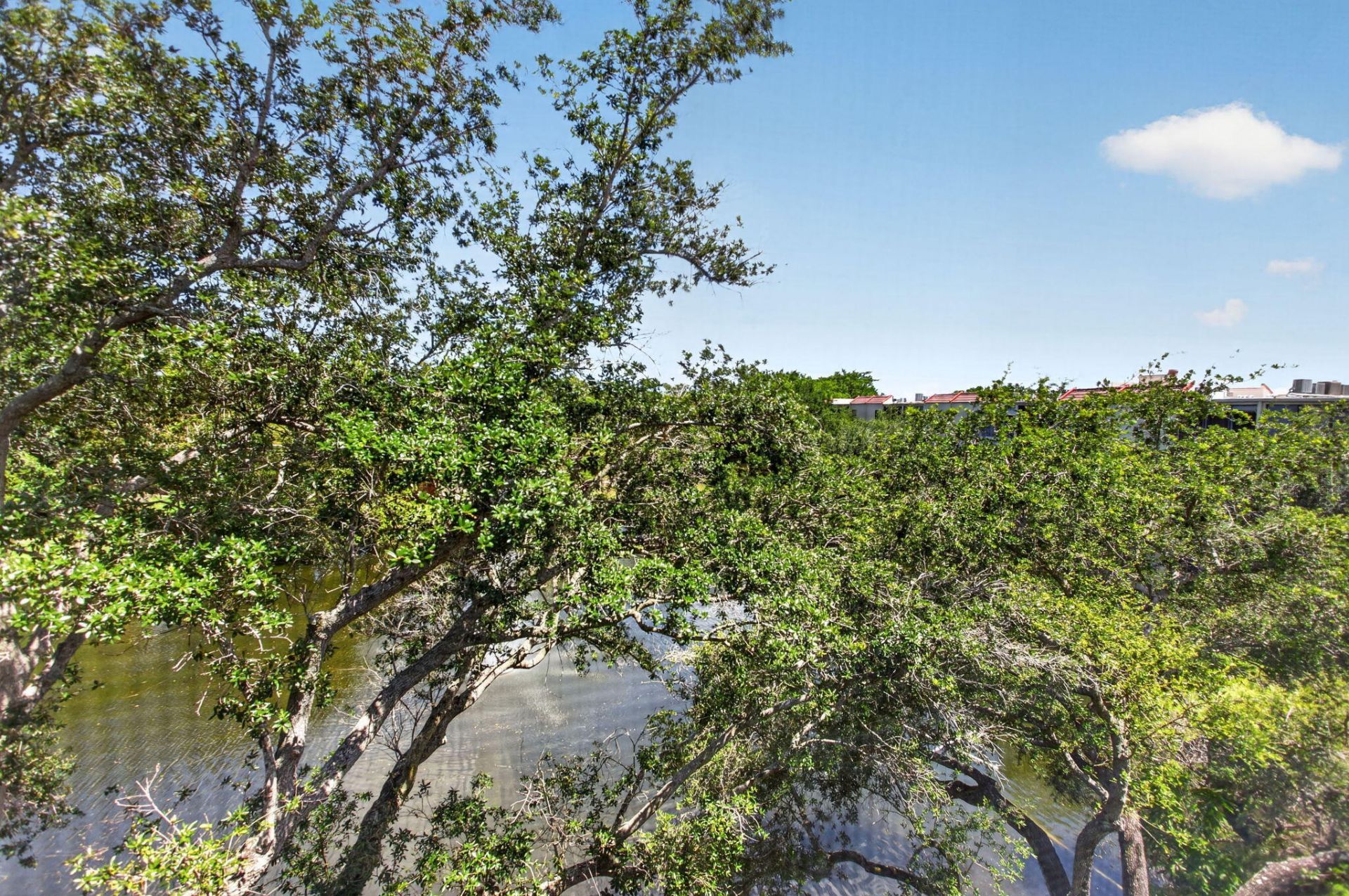 1862 Hammock Boulevard, Unit 416, Coconut Creek, FL 33063 Photo