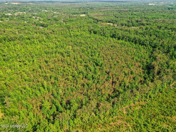 County Road 816 , Blue Mountain, MS 38610